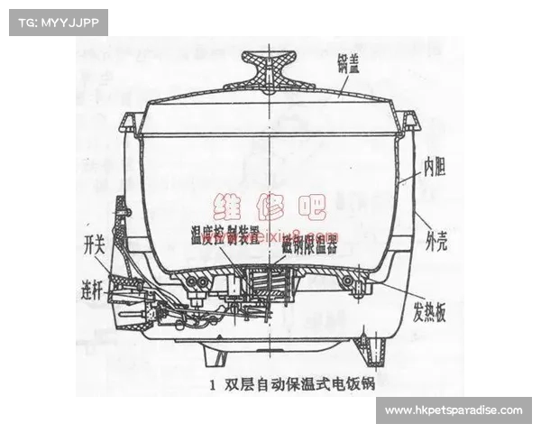 辐射4:揭秘武器拆解,深入解析更多零件外壳 辐射4:揭秘武器拆解,深入解析更多零件外壳