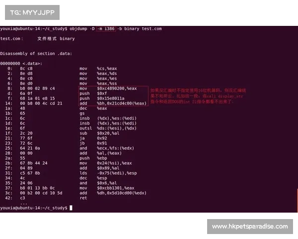 辐射四mod管理器代码使用指南 辐射四mod管理器代码使用指南