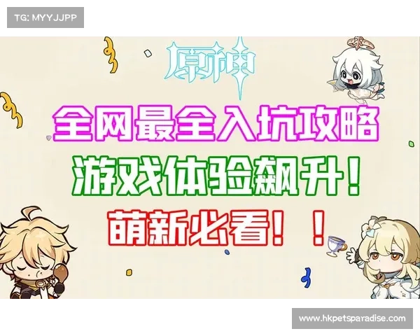 魂斗罗重磅回归:新手征战指南,全面攻略,助你轻松入坑 魂斗罗重磅回归:新手征战指南,全面攻略,助你轻松入坑