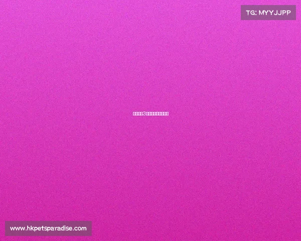 电子竞技3大原则何为电子竞技