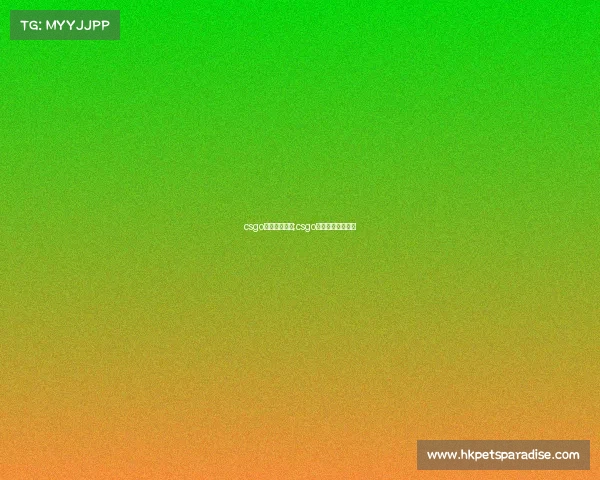 csgo电子竞技作文;csgo电子竞技战斗比赛