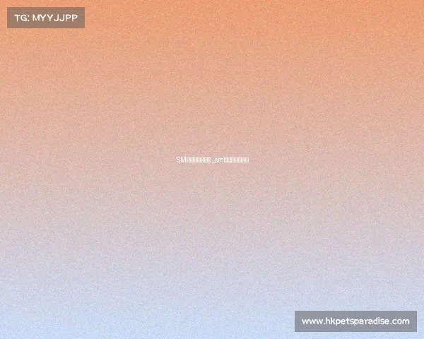 SM电子竞技俱乐部_sm电子竞技俱乐部