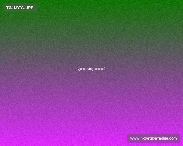 yj电子竞技(ymg电子竞技俱乐部)