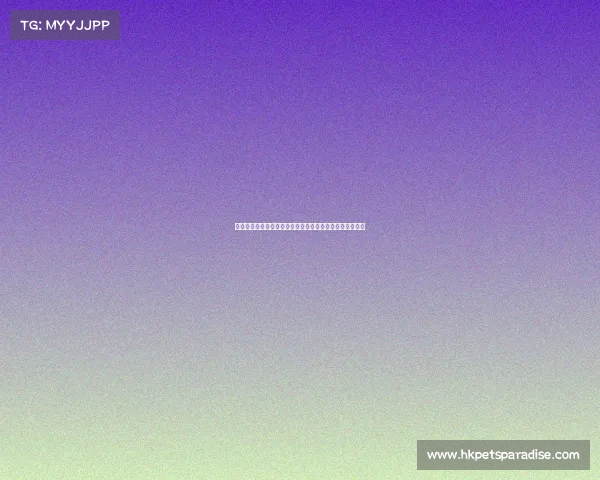 中央广播电台电子竞技—央广聚焦:电竞赛场上的无声硝烟