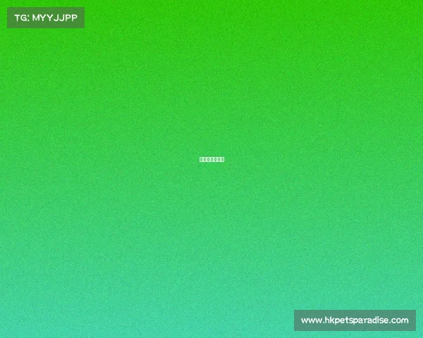 大田电子竞技咖