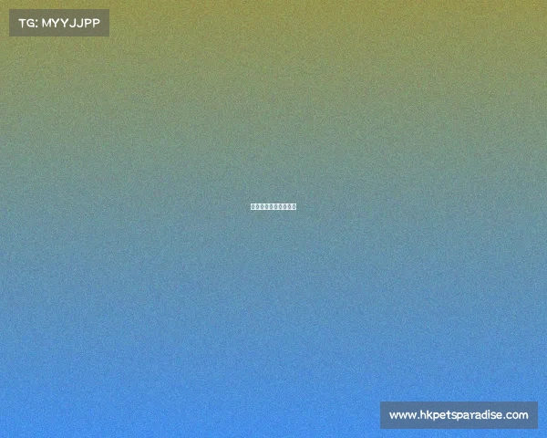 安庆电竞学院招生条件