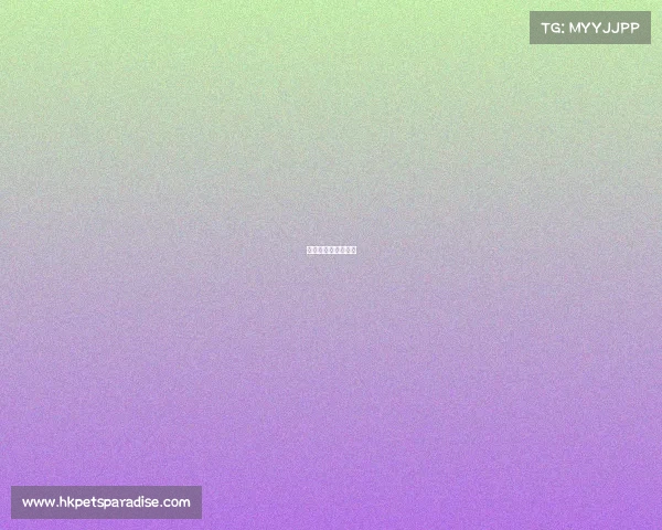 有没有电子竞技学校