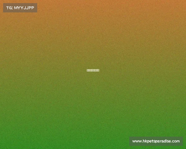 电子竞技你怎么看