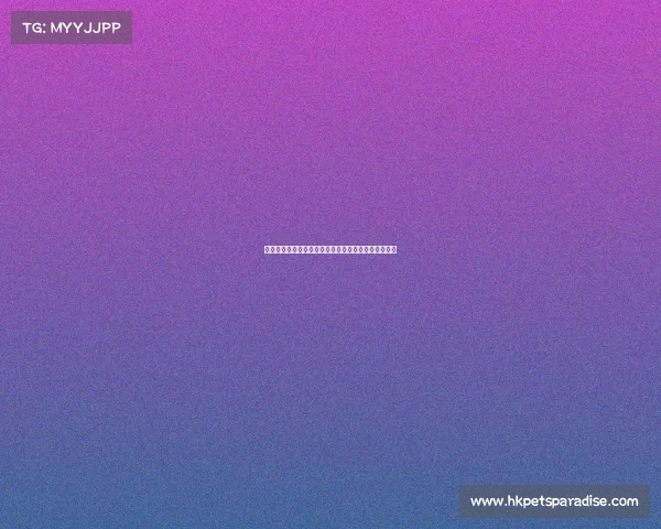 电子竞技协会官方平台:培育专业人才,赋能产业未来 电子竞技协会官方平台:培育专业人才,赋能产业未来