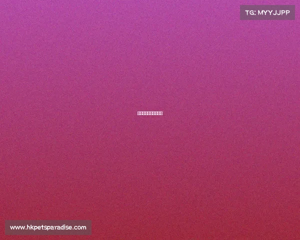 腾讯筑造电竞梦想热土 腾讯筑造电竞梦想热土