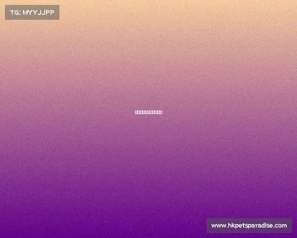 西安电子竞技战队有哪些 西安电子竞技战队有哪些